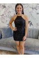 Halter Sleeveless Short Velvet Sequin Homecoming Dress / Prom Dress Bristol